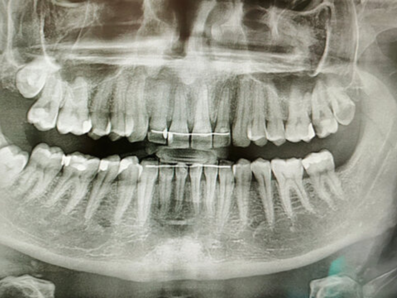 Delta Park Dental
