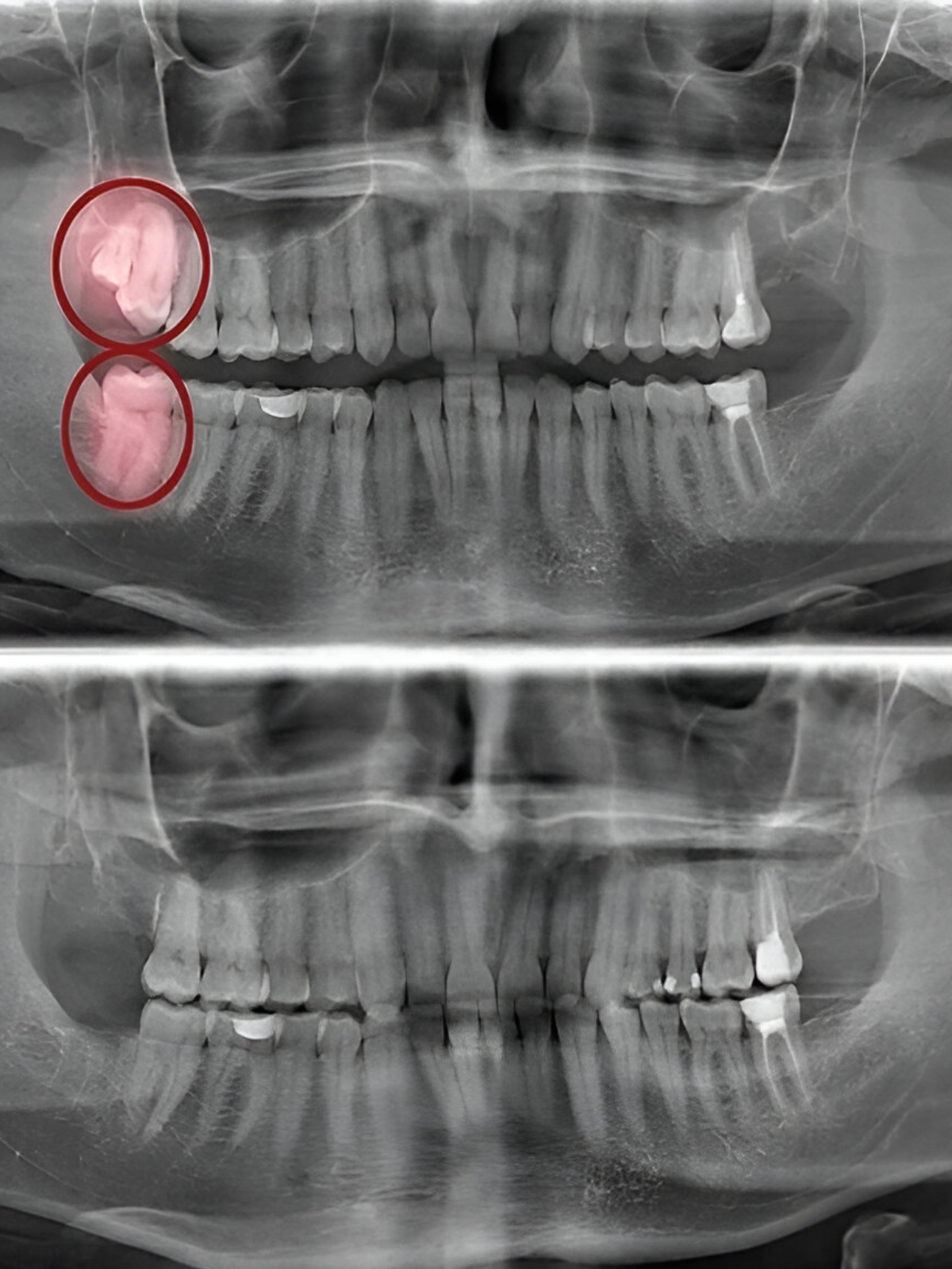Delta Park Dental